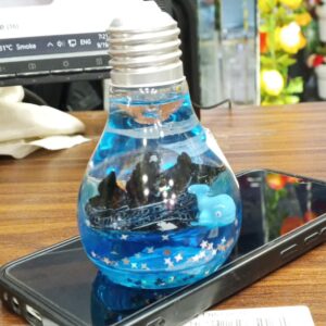 Cruise Ship Drift Bottle with Unsinkable Boat in a Box – Unique Decorative Piece for Car, Home & Office